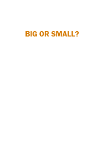 Big or small?